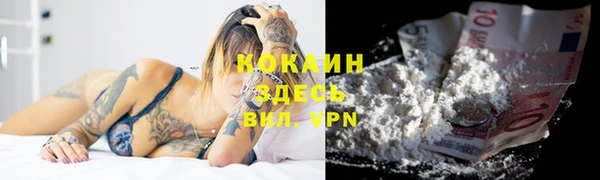 СК Гусь-Хрустальный