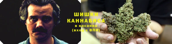 мет Гусев