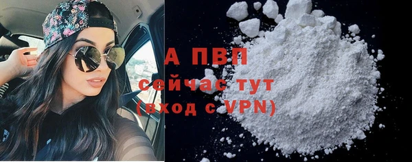 СК Гусь-Хрустальный