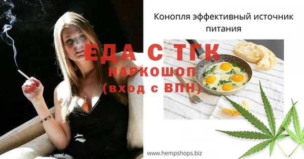 СК Гусь-Хрустальный